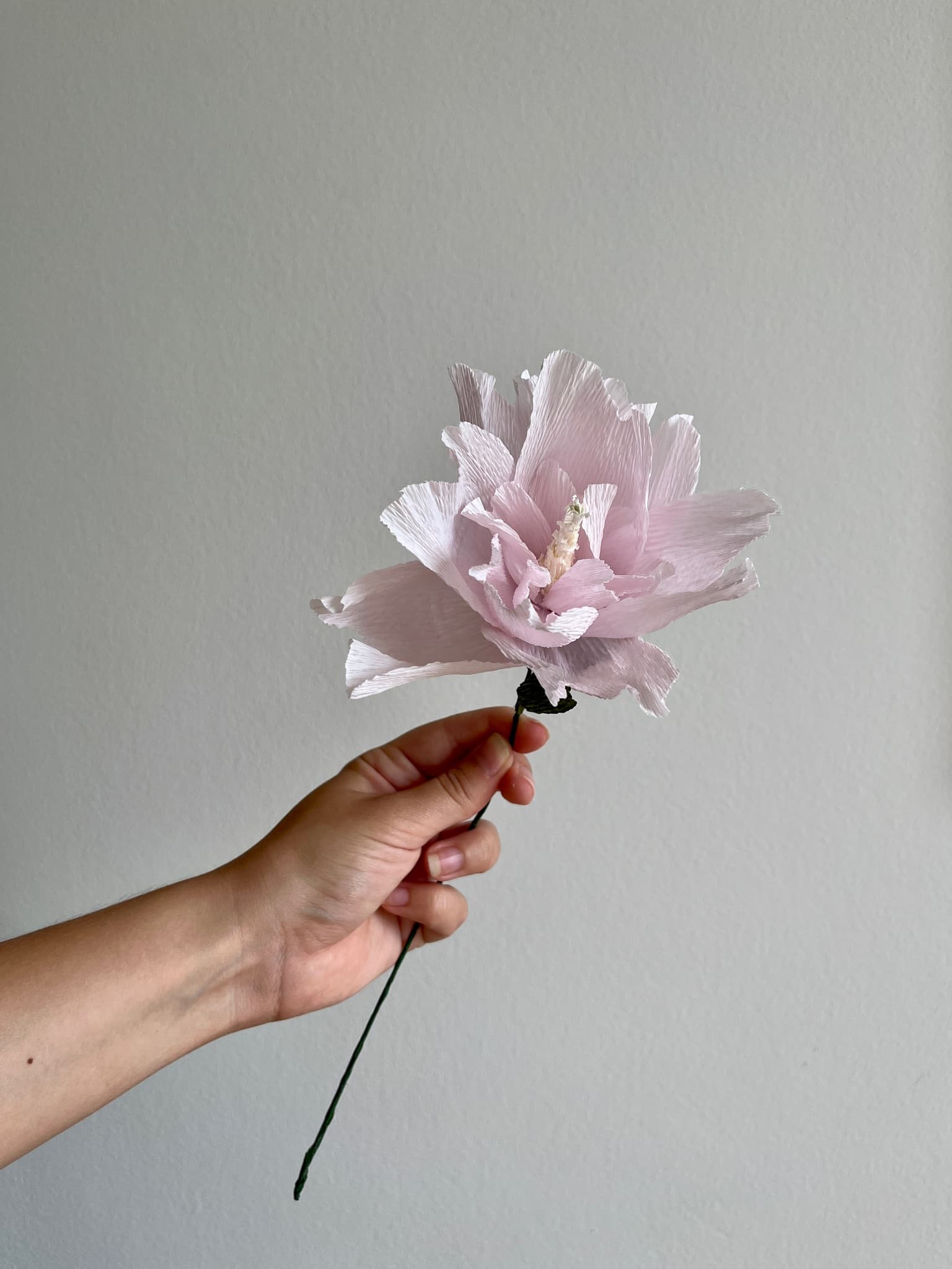 Gallery media #3